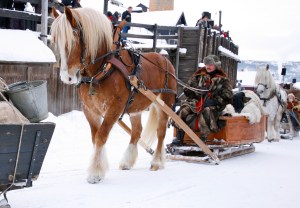 _MG_9395. Foto MBA (98)