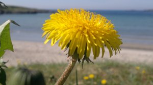 Atlanterhavsveien. Foto Mari Kolbjørnsrud (5)