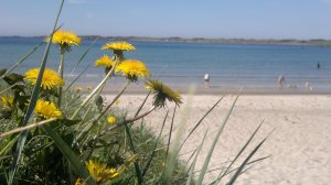 Atlanterhavsveien. Foto Mari Kolbjørnsrud (8)