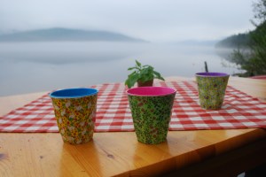 Burua og Lia Gård. Foto Mari Kolbjørnsrud (3)