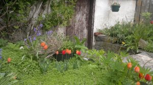 Grip. Foto Mari Kolbjørnsrud (17)