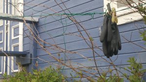 Grip. Foto Mari Kolbjørnsrud (18)