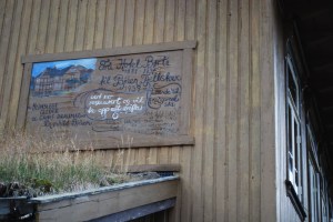 Bjaen. Foto Mari Kolbjørnsrud (11)