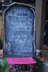 Bjaen. Foto Mari Kolbjørnsrud (14)