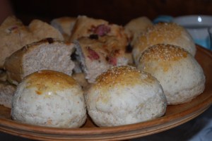 Bjaen. Foto Mari Kolbjørnsrud (17)