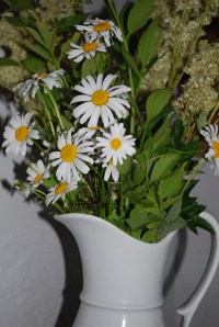 Bjaen. Foto Mari Kolbjørnsrud (6)