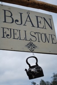 Bjaen. Foto Mari Kolbjørnsrud (8)
