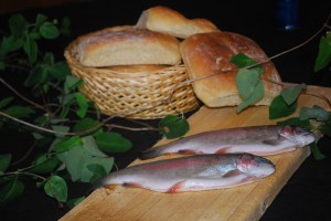 Korsveiforum. Foto Mari Kolbjørnsrud (1)