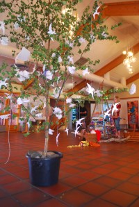 Korsveiforum. Foto Mari Kolbjørnsrud (9)