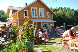 Skatoy. Foto Mari Kolbjornsrud (10)