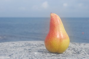 Store Torungen. Foto Mari Kolbjørnsrud (10)