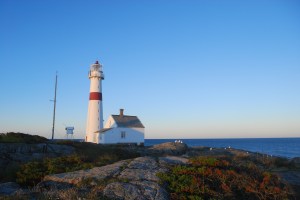 Store Torungen. Foto Mari Kolbjørnsrud (37)