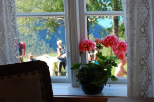 Trakk Fuglesteg Foto Mari Kolbjørnsrud (7)