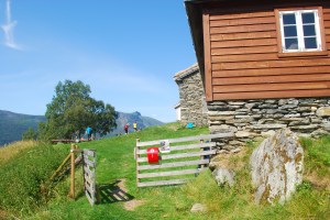Trakk Fuglesteg Foto Mari Kolbjørnsrud (9)