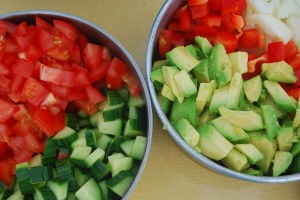 Trakk Skjolden. Foto Mari Kolbjornsrud (5)