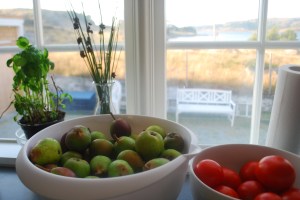 Utstein. Foto Mari Kolbjørnsrud (10)