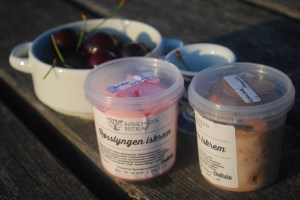 Utstein. Foto Mari Kolbjørnsrud (11)