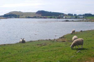 Utstein. Foto Mari Kolbjørnsrud (16)