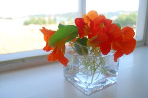 Utstein. Foto Mari Kolbjørnsrud (2)