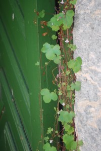 Utstein. Foto Mari Kolbjørnsrud (20)