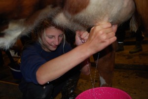 Budeiekurs Iungsdalen (16)