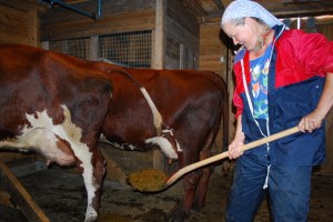 Budeiekurs Iungsdalen (17)