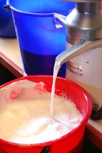 Budeiekurs Iungsdalen (4)