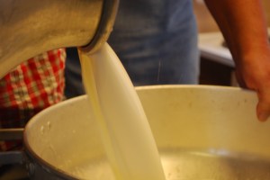 Budeiekurs Iungsdalen (5)